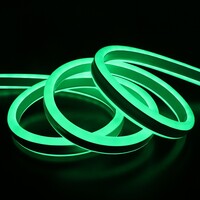Neon ljusslang – Grön - LINA