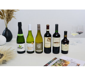 Wijnproeverijbox Wereldreis (meest gekozen)