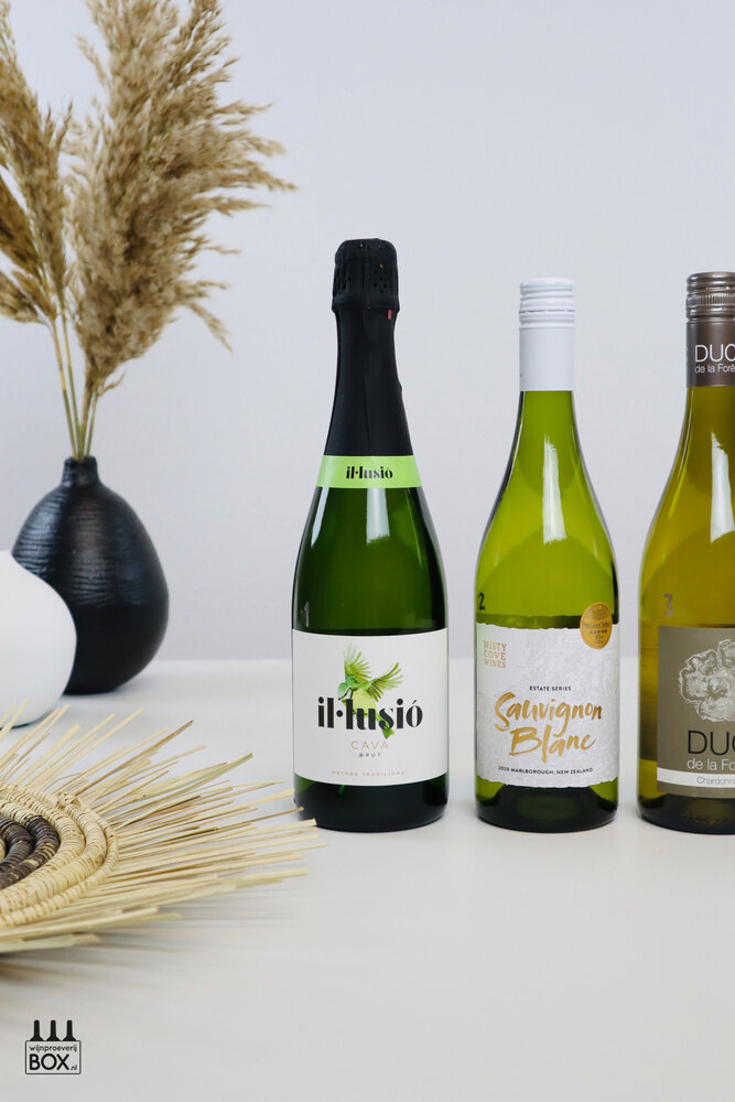 Wijnproeverijbox Wereldreis (meest gekozen)