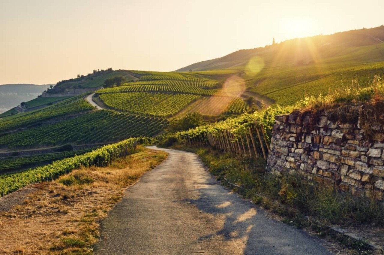 Wijnproeverijbox Ontdekkingsreis