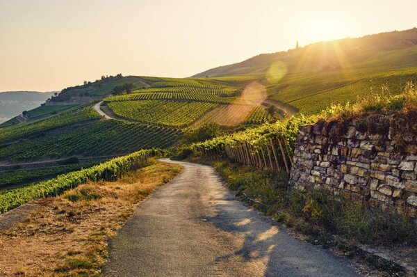 Wijnproeverijbox Ontdekkingsreis