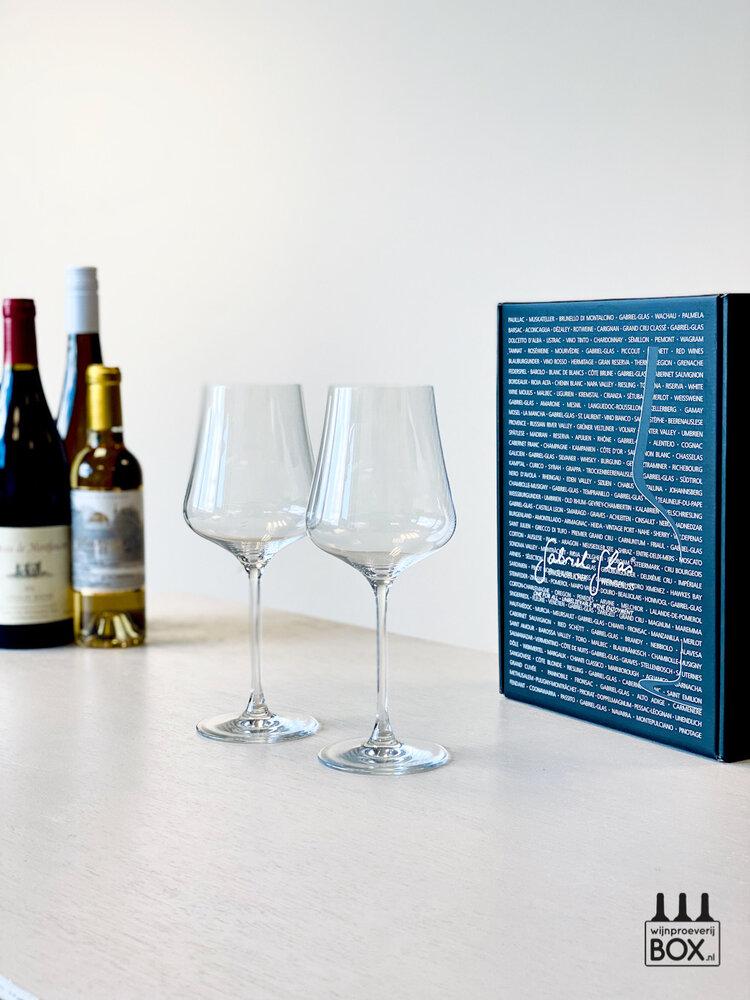 Gabriel Glas Gabriel-Glas StandArt Giftpack met 2 glazen