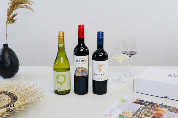 Wijnproeverijbox Wijntrip Zuid-Amerika