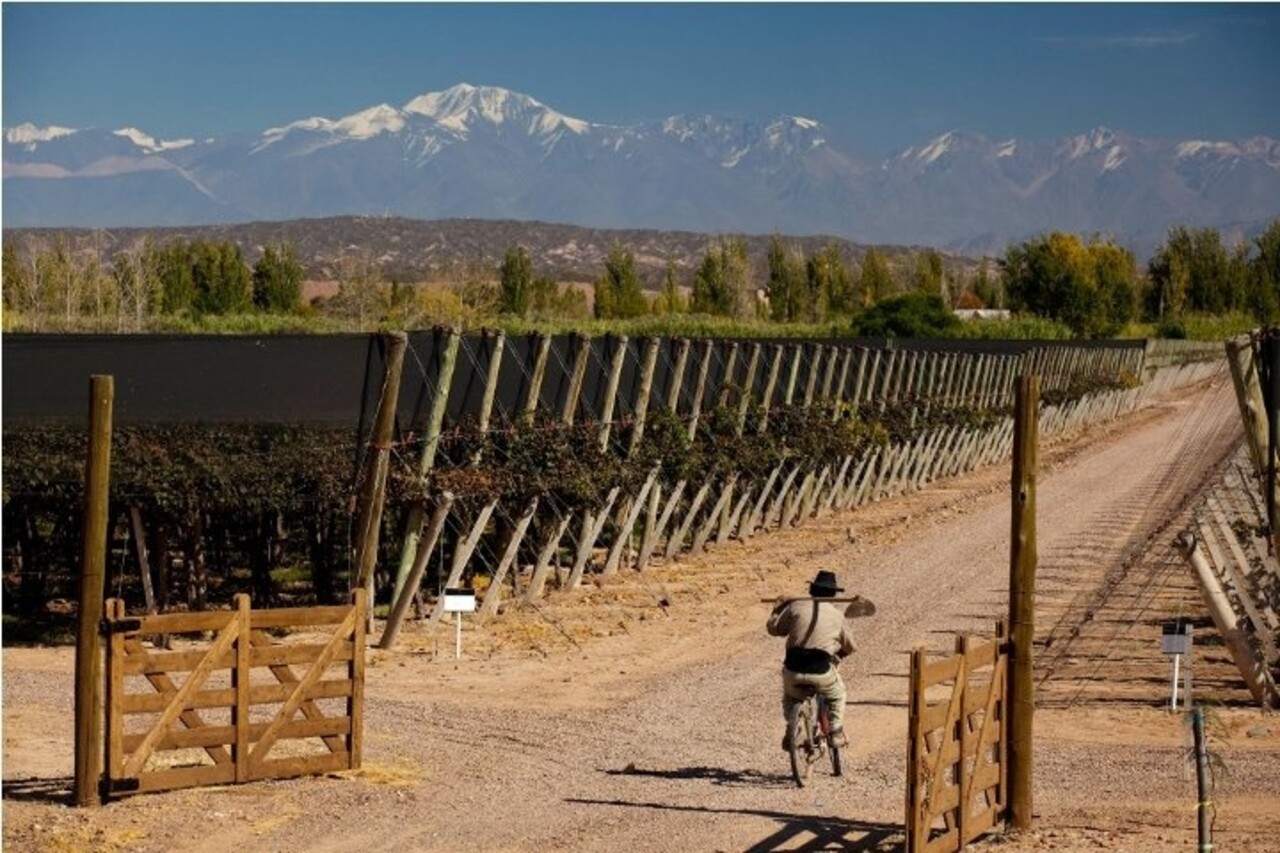 Wijnproeverijbox Wijntrip Zuid-Amerika