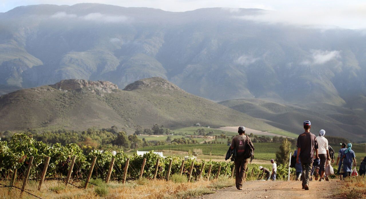 Wijnproeverijbox Wijntrip Zuid-Afrika