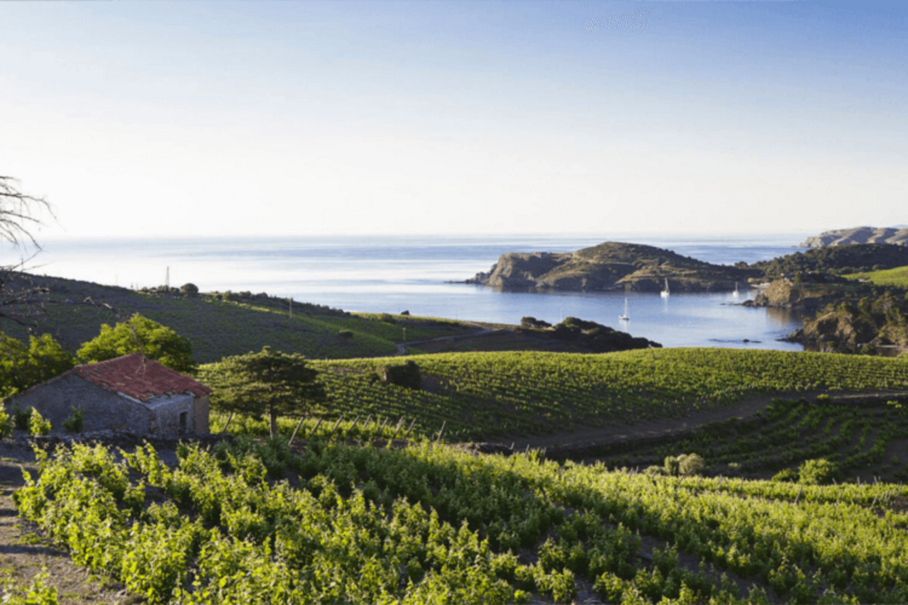 Wijnproeverijbox Mini-Wijntrip Alcoholvrij