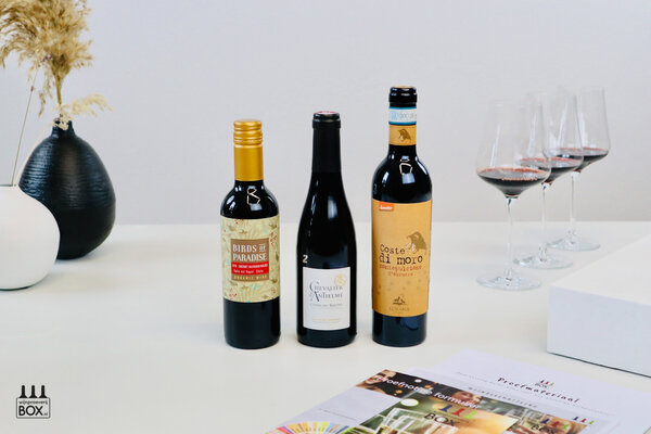 Wijnproeverijbox Mini-Wijntrip Populair Rood