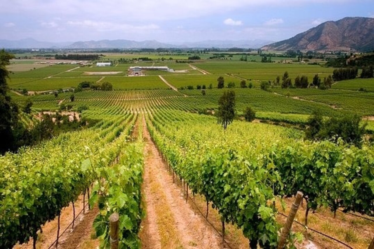 Wijnproeverijbox Mini-Wijntrip Populair Rood