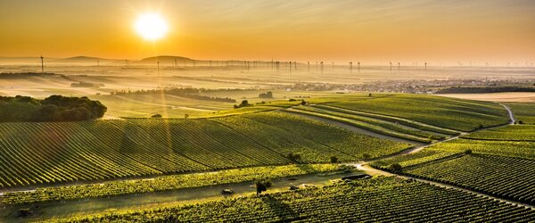 Wijnproeverijbox Mini-Wijntrip Populair Elegant Wit