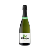 Josep Masachs | Il-Lusio