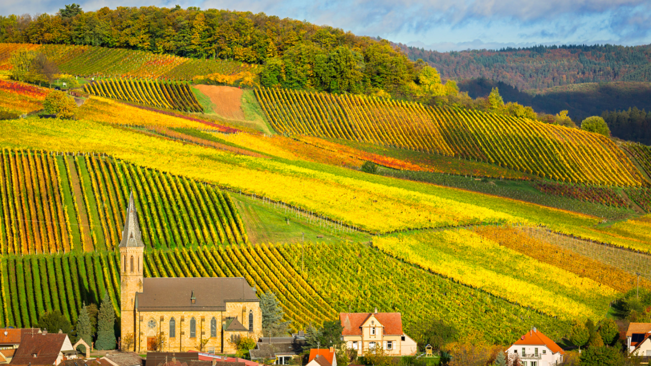 Wijnproeverijbox Nieuw! Wijntrip Duitsland & Oostenrijk