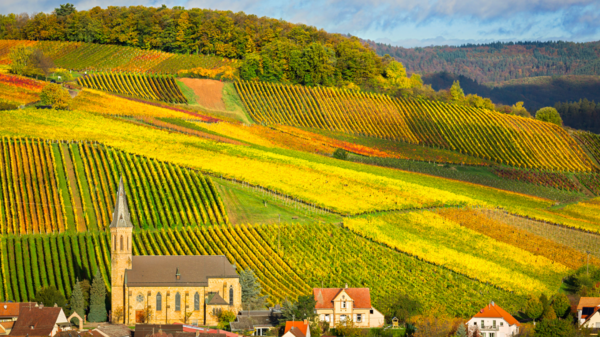 Wijnproeverijbox Nieuw! Wijntrip Duitsland & Oostenrijk