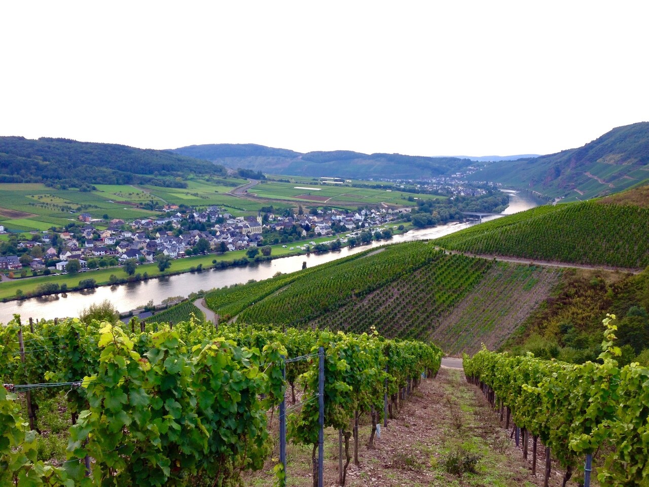 Wijnproeverijbox Nieuw! Wijntrip Duitsland & Oostenrijk