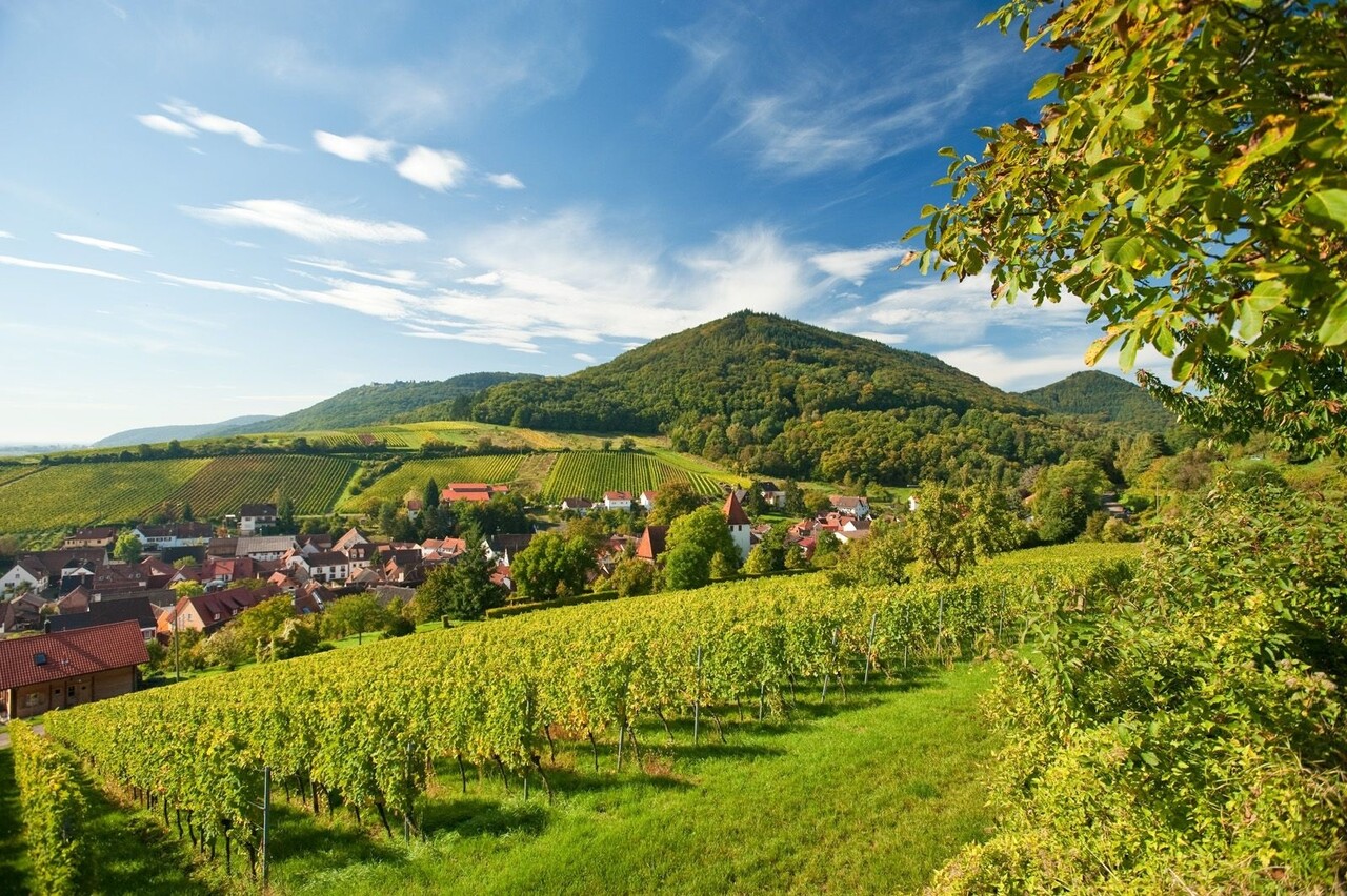 Wijnproeverijbox Nieuw! Mini-Wijnreis Europa