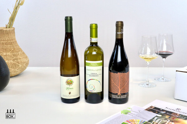 Wijnproeverijbox Wijntrip Verrassend Italië