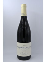 2020 Bourgogne Cote d'Or Pinot Noir Rodolphe Demougeot