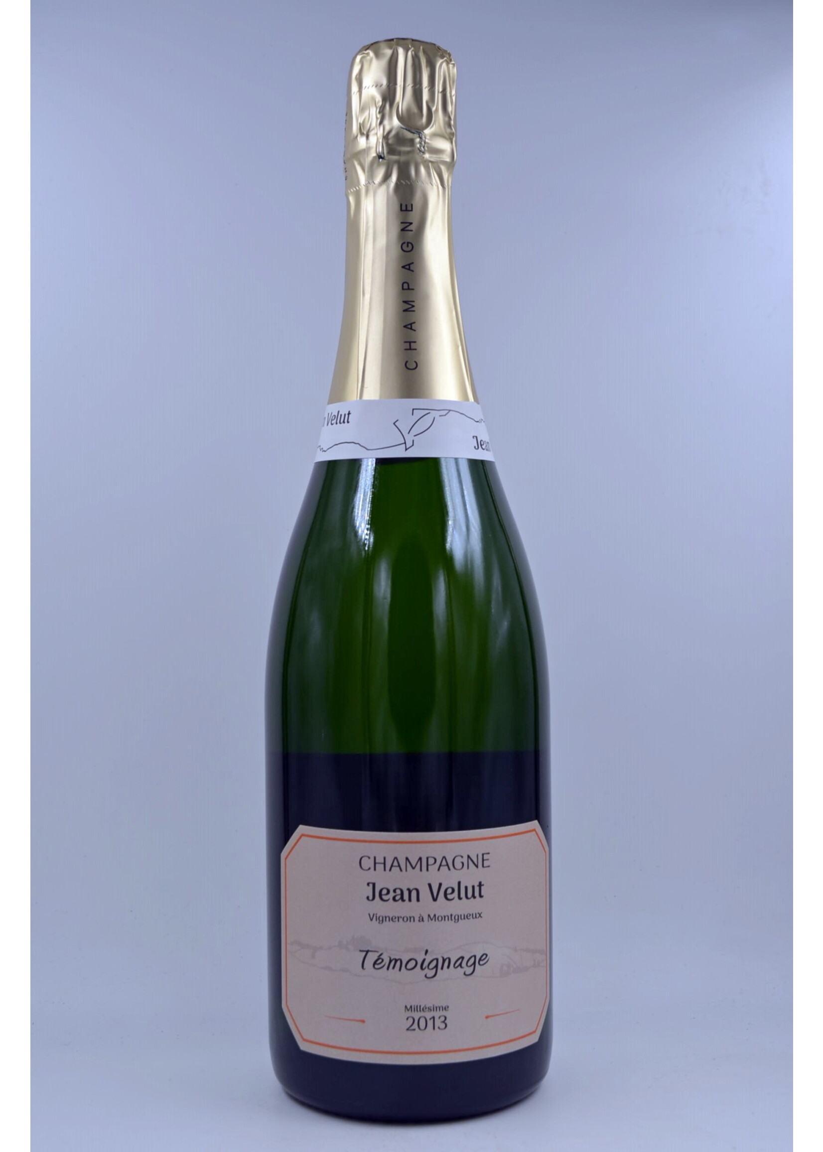 2013 Temoinage Jean Velut