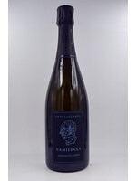 NV Franciacorta Ammonites Saten Camilucci