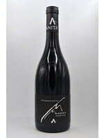 2022 Morgon Prestige le Clachet Domaine Anita
