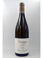 2022 Bourgogne Aligote Antoine Lienhardt