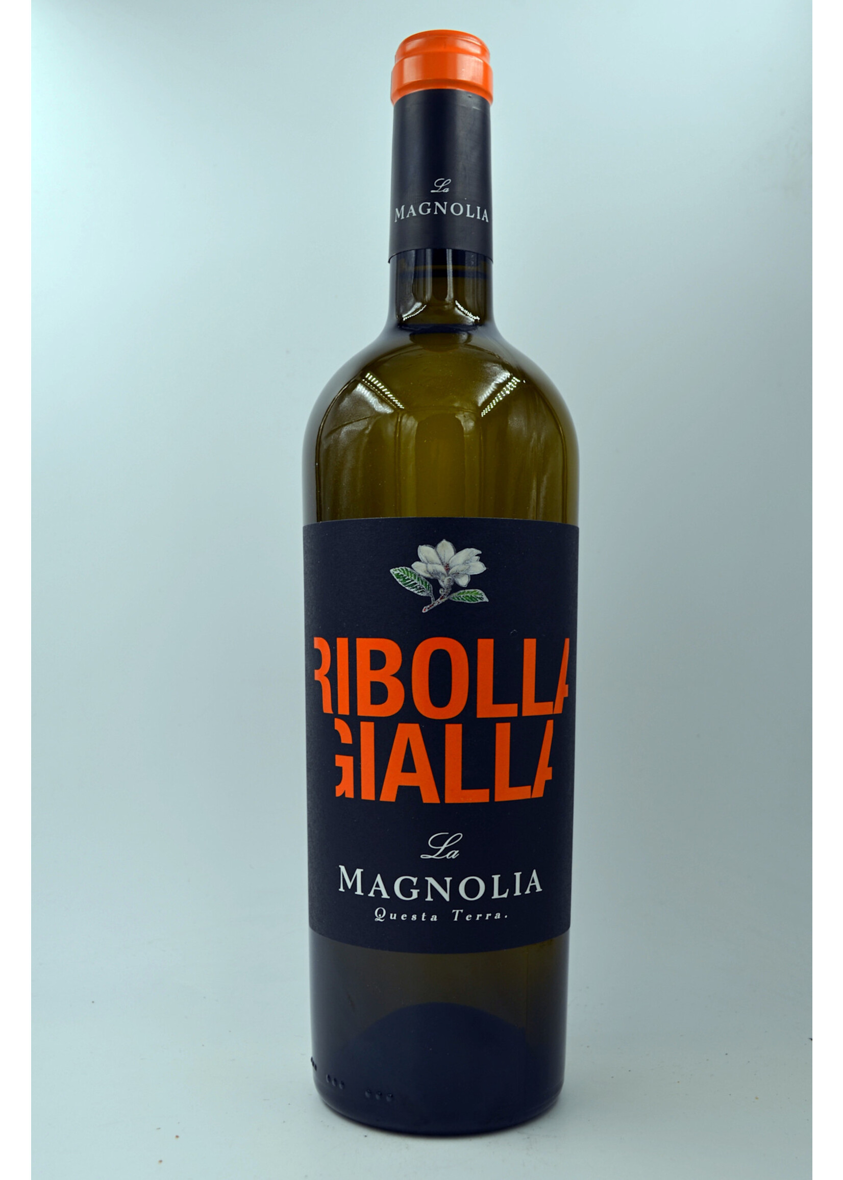 2024 Ribolla Gialla la Magnolia