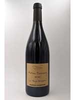 2021 Saumur Champigny la Haye Dampierre Antoine Sanzay