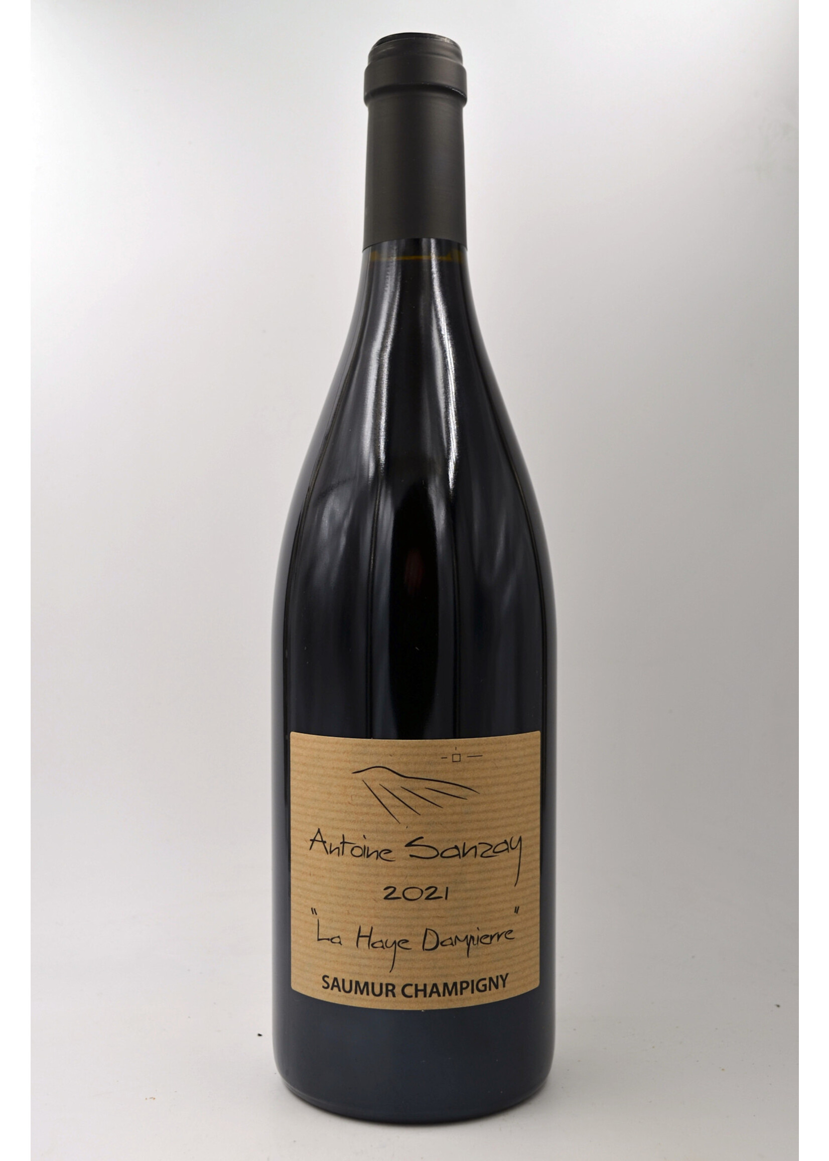2021 Saumur Champigny la Haye Dampierre Antoine Sanzay