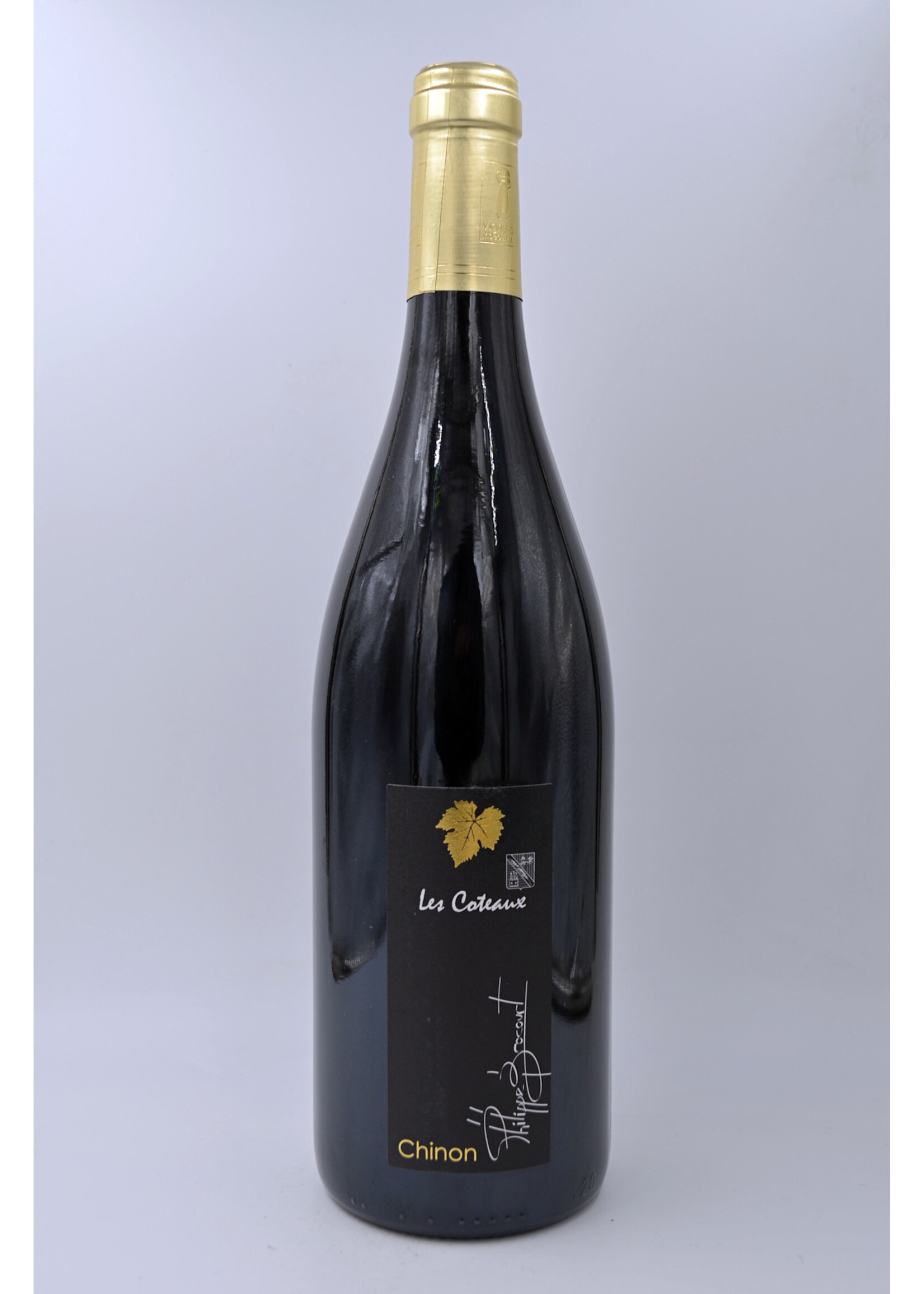 2020 Chinon Cuvee Terroir les Coteaux Domaine Brocourt