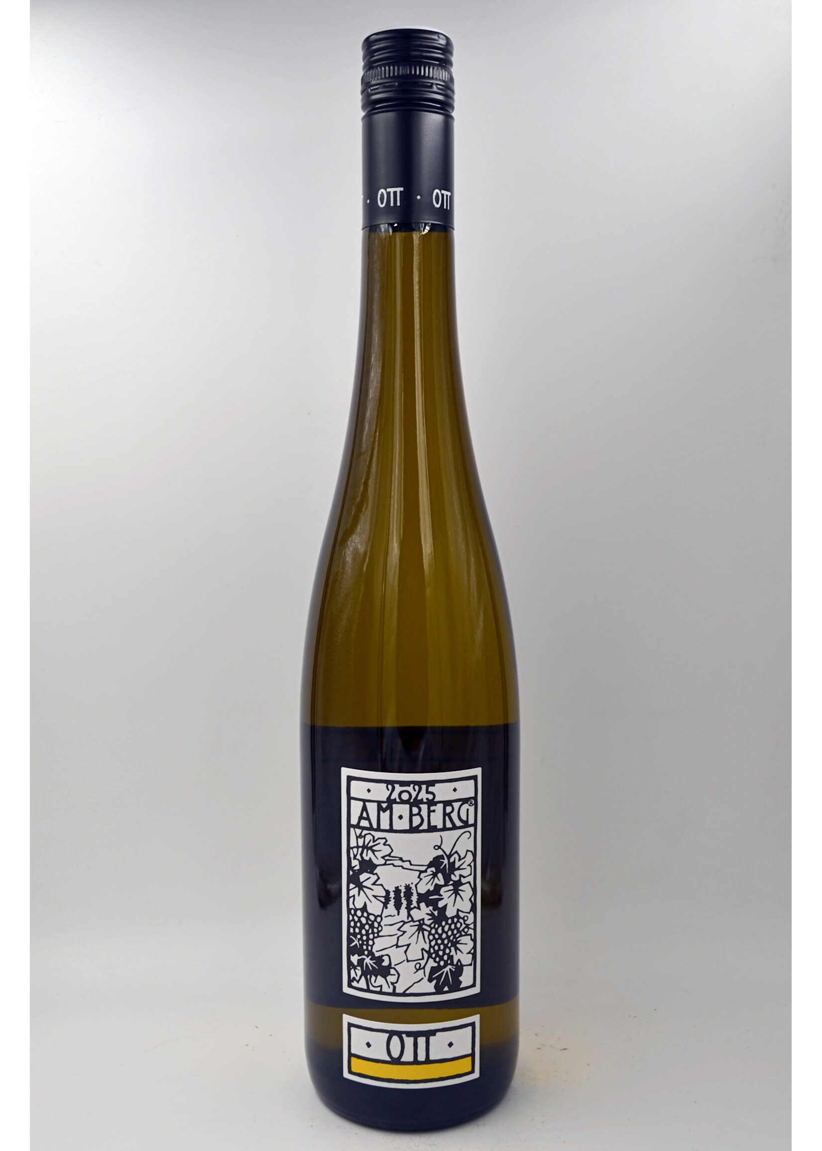 2025 Gruner Veltliner Am Berg Bernhard Ott