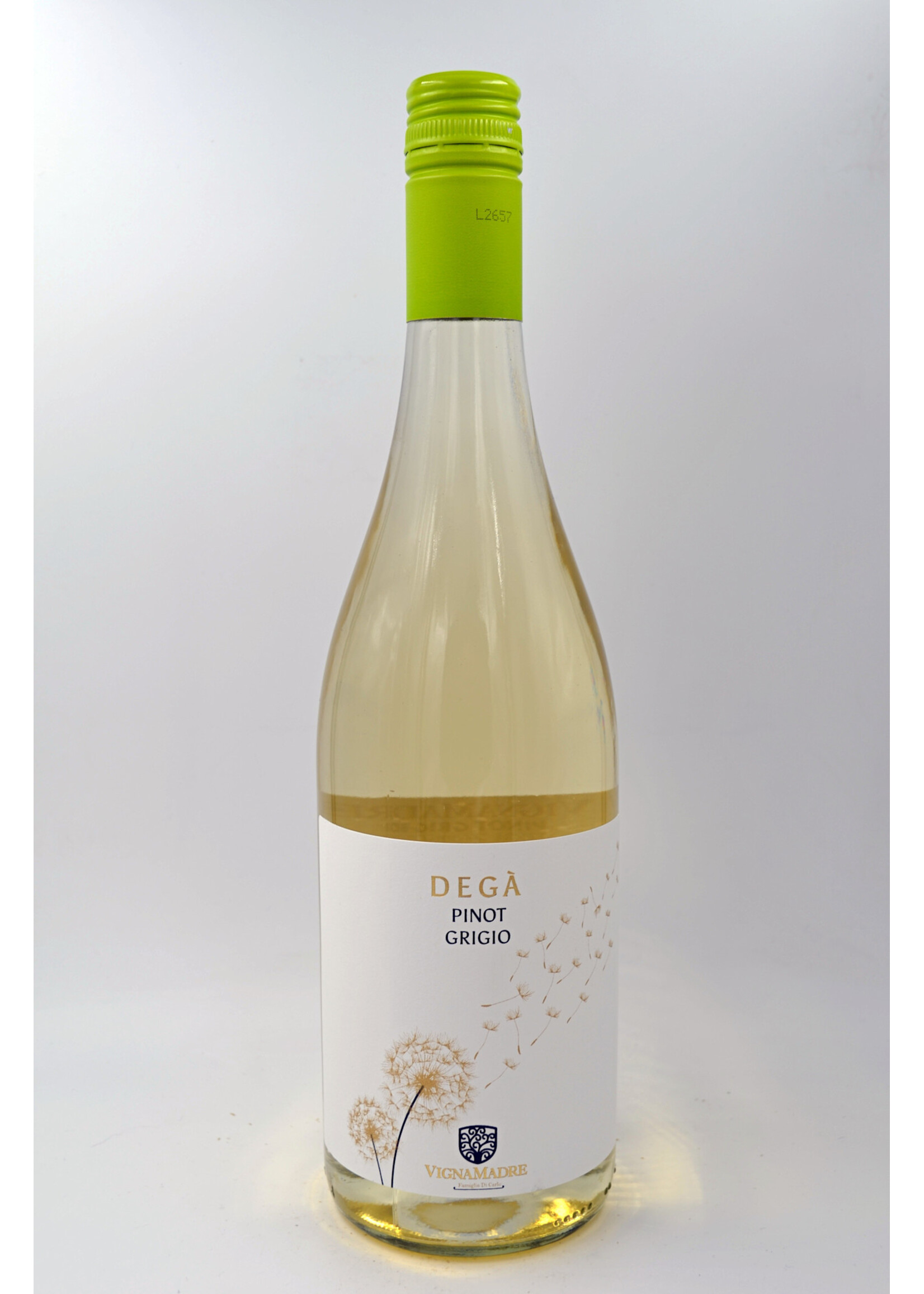 2025 Pinot Grigio Dega Vigna Madre