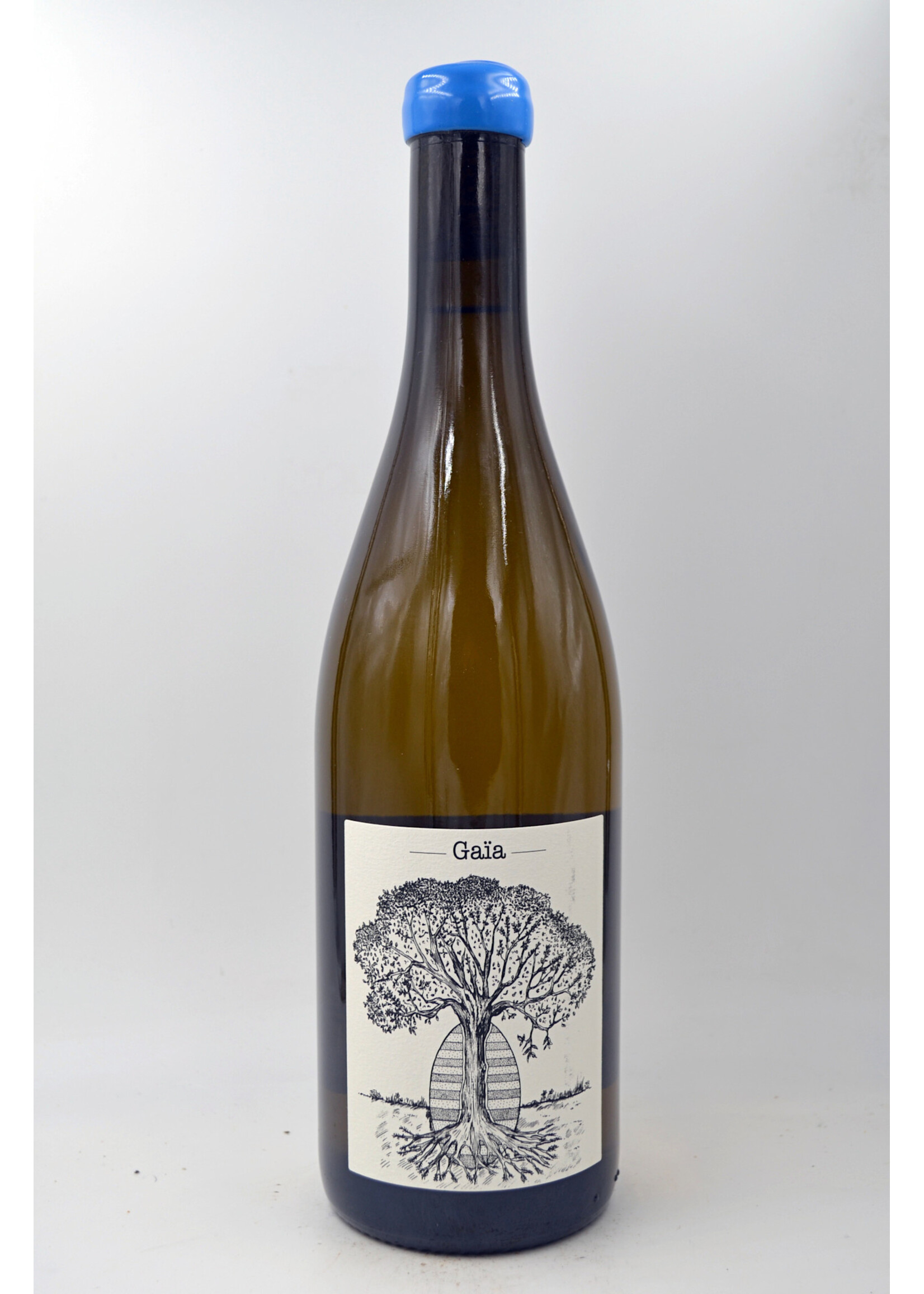 2022 Muscadet Gaia Jerome Bretaudeau