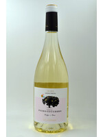 2025 Verdejo Semidulce Valdelagunde Escudero