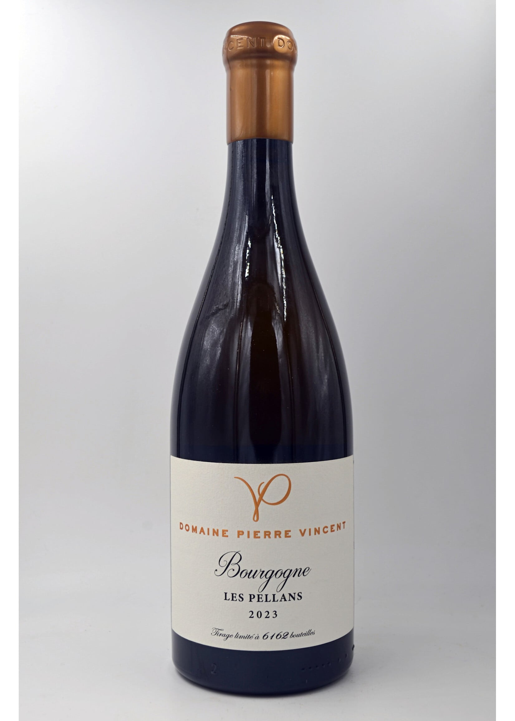 2023 Bourgogne les Pellans Pierre Vincent