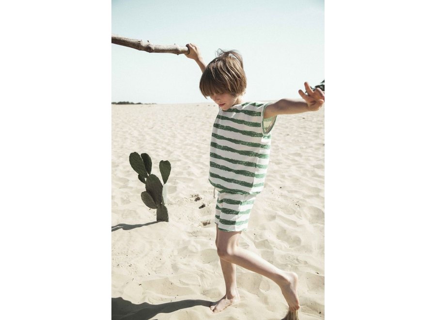 Ammehoela | Sunny T-shirt Stripe-Green