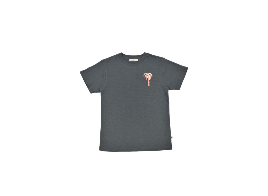 Zoe T-shirt Volcanic Ash
