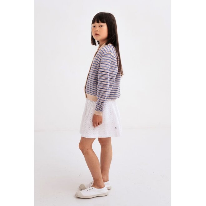 Repose AMS | Mini Skirt Graphic Embroidery Anglaise