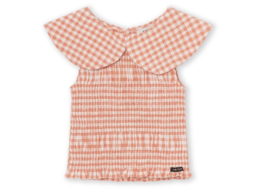 Emilia Top Cameo Pink Check