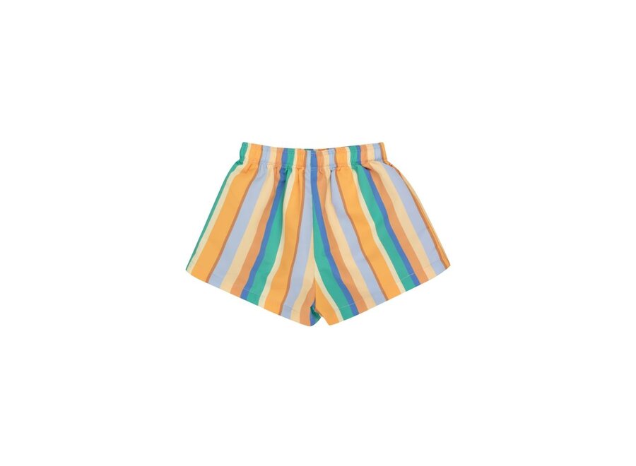 Tiny Cottons | Multicolor Stripes Trunks Multicolor