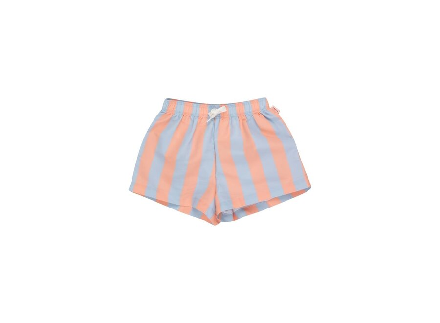 Stripes Trunks Blue-Grey/Papaya