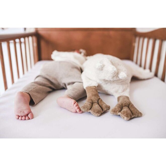 Senger | Gans groot wit