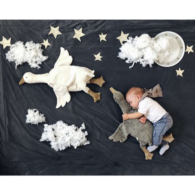 Senger | Gans groot wit