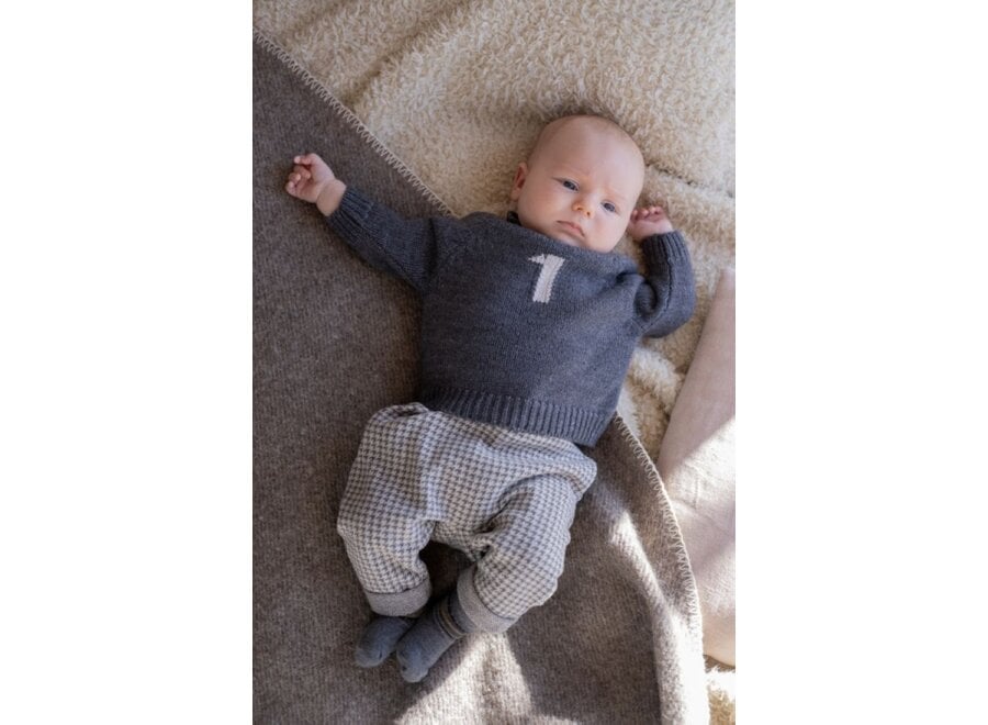 1+ in the family | Sebastia Pants Grey