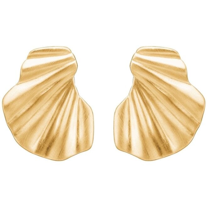 Wave Gouden Oorbellen
