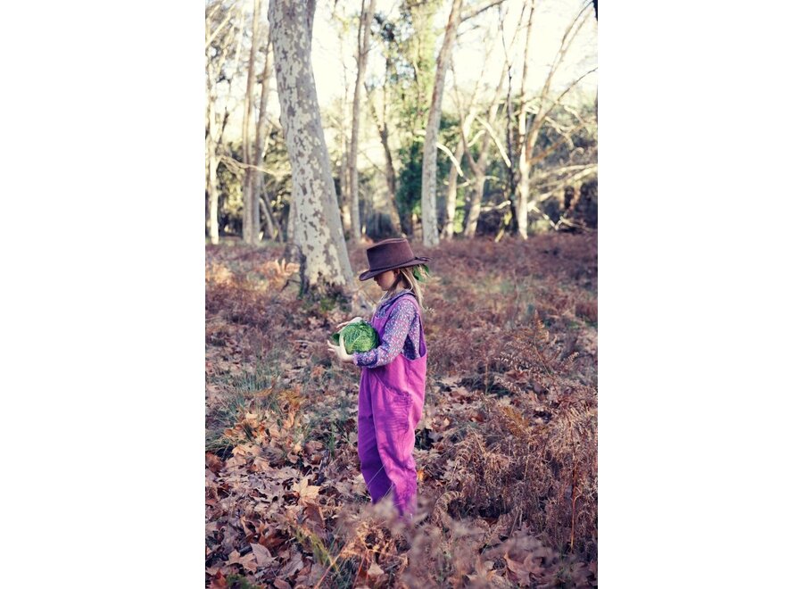 Piupiuchick | Peter Pan Collar Blouse Magenta Flowers