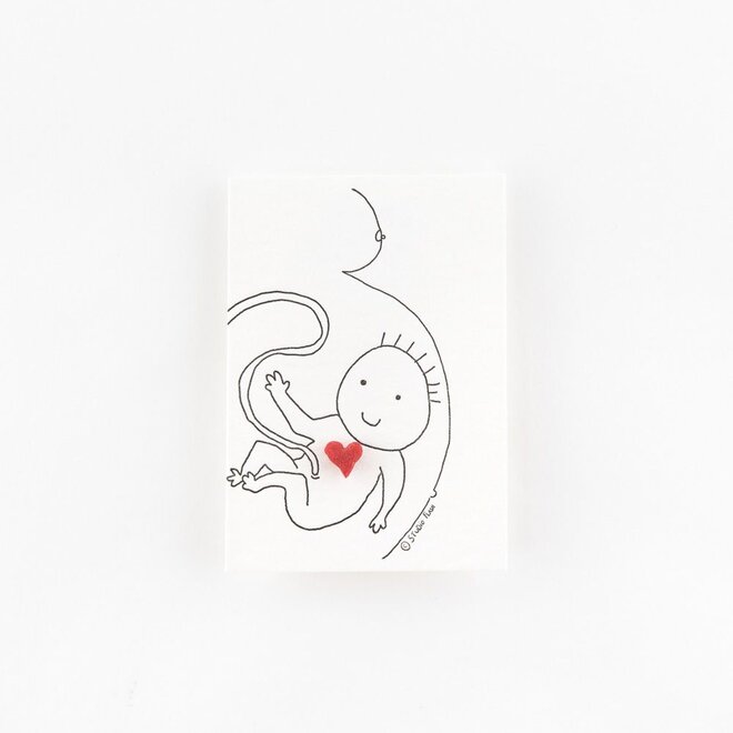 Studio Flash | Letterpress Card PIN 'Baby Belly'