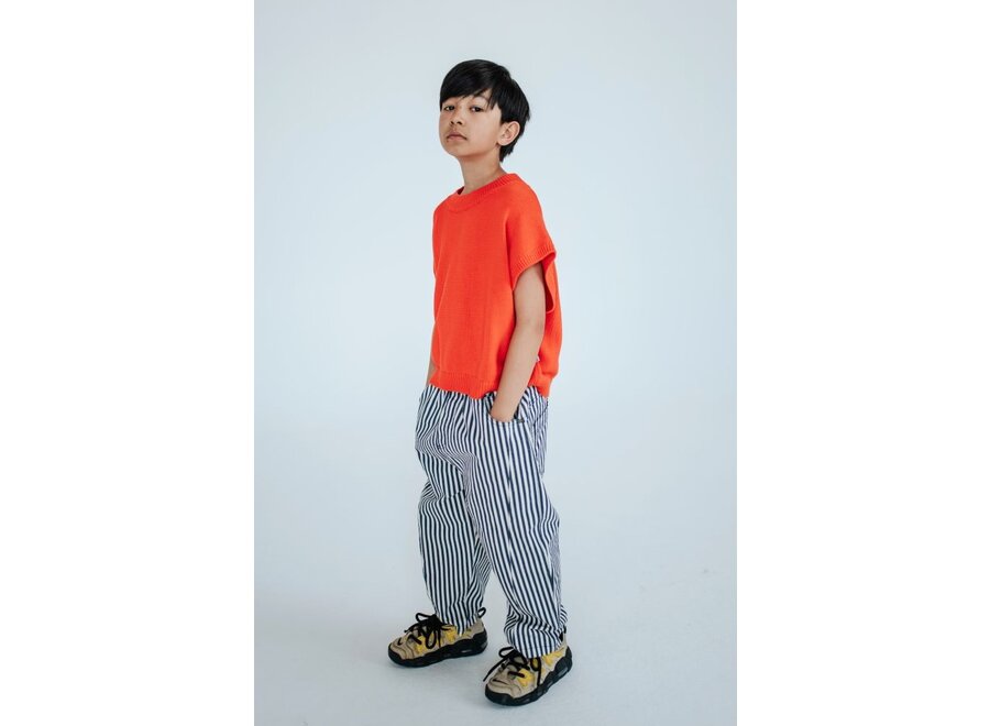 Repose ams | Wide Pant Navy Eggshell Stripe