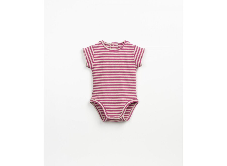 Striped Rib Body Stories