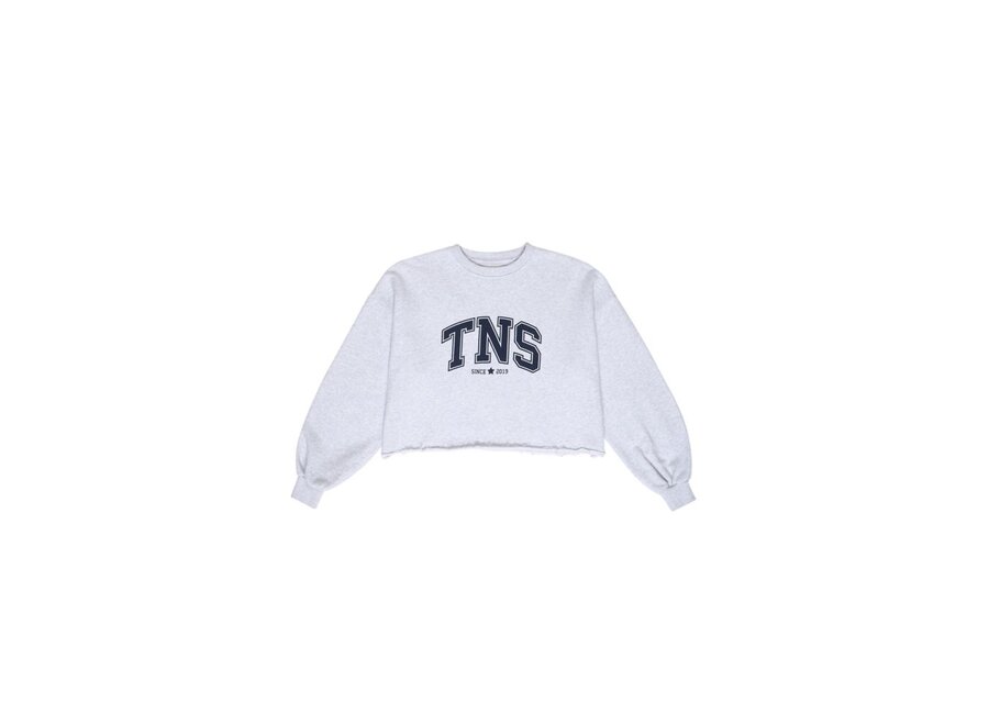 The New Society | Zoe Teen Sweatshirt Grey Melange