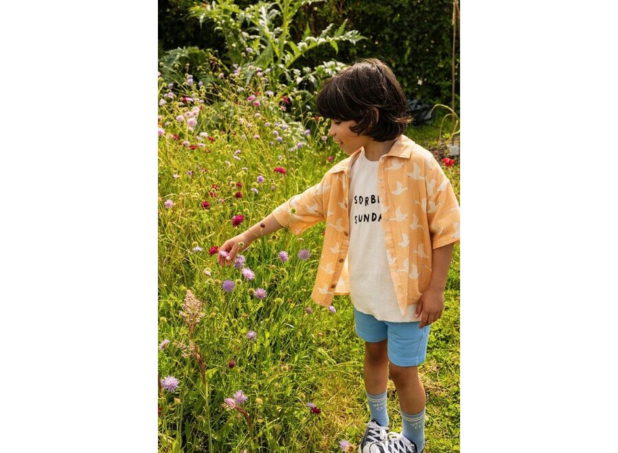 Sproet & Sprout | Terry T-Shirt Sorbet Sunday Off-White