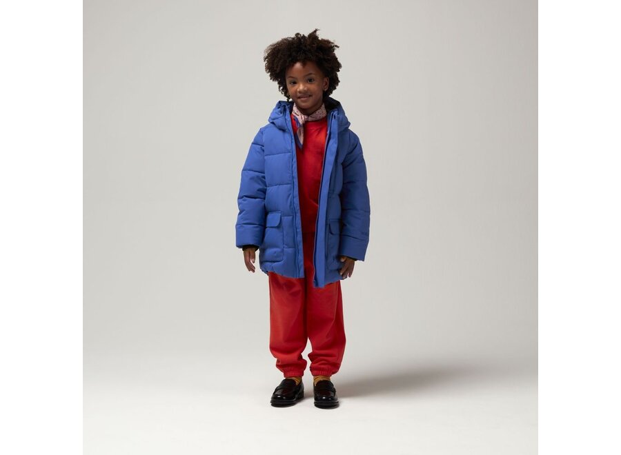 Gosoaky | Tiger Eye Jas Dazzling Blue